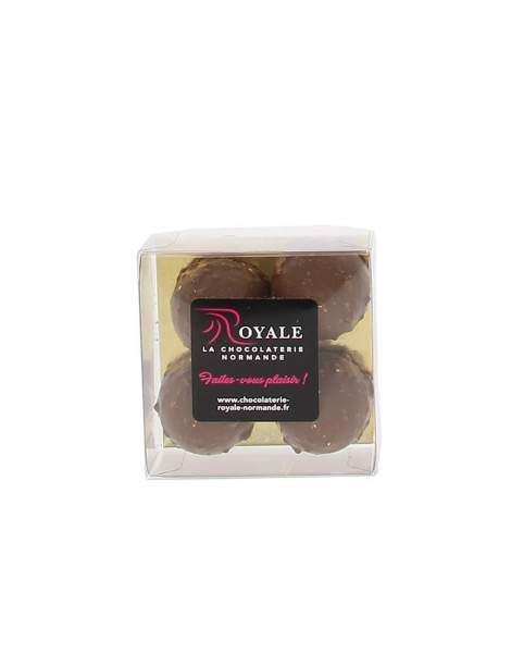 Etui 4 rochers chocolat lait 110 gr