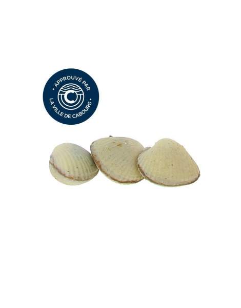Réglette 3 coques de Cabourg chocolat caramel 36 gr