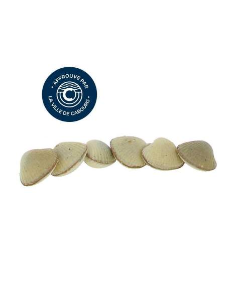 Réglette 6 coques de Cabourg chocolat caramel 73 gr